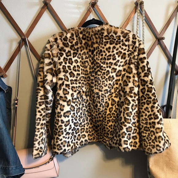Cheetah Print Jacket - Picture 3 of 4